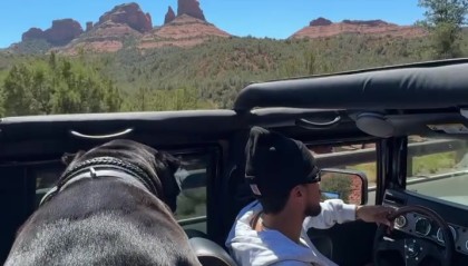 pg电子TOP10-布克驾悍马携爱犬出游 独行时光萌宠相伴