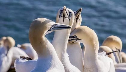 pg电子游戏排行-半场丢3球国奥热身1比3乌兹别克 梁伟棚补时破门